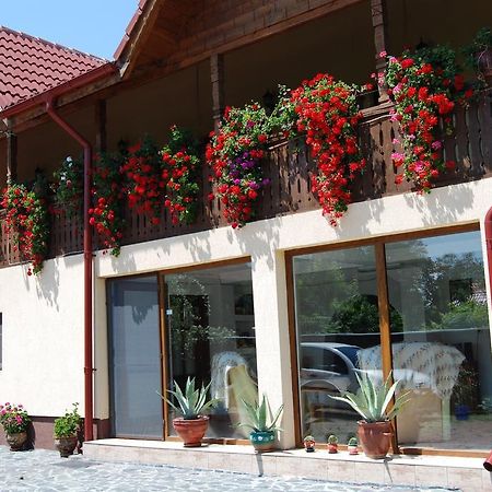 Pensiunea Casa Filoxenia Horezu Exterior photo