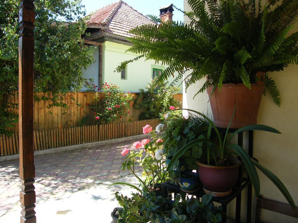 Pensiunea Casa Filoxenia Horezu Exterior photo