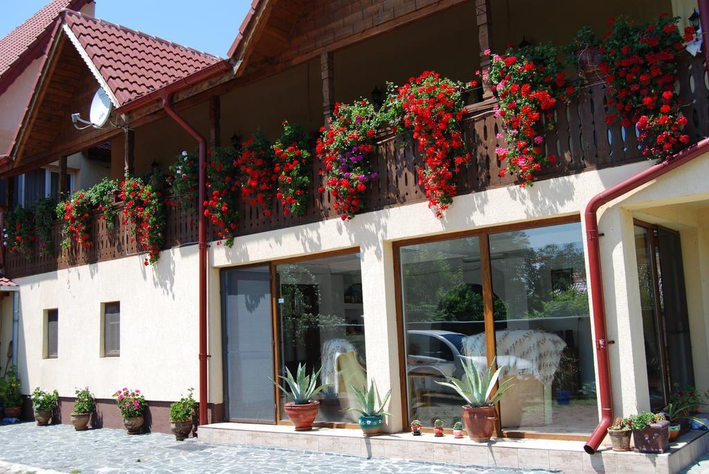 Pensiunea Casa Filoxenia Horezu Exterior photo